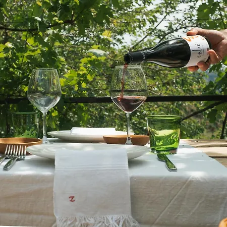 Degli Ulivi Gasthof *