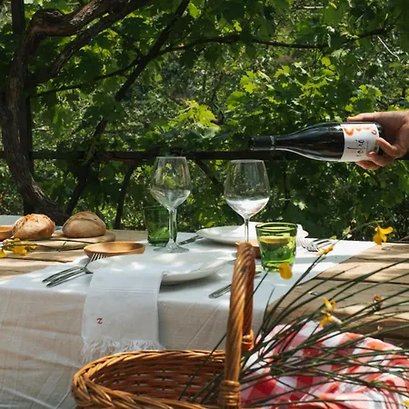 Degli Ulivi Gasthof Mammola