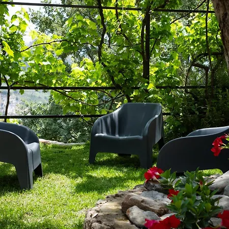 Degli Ulivi * Mammola