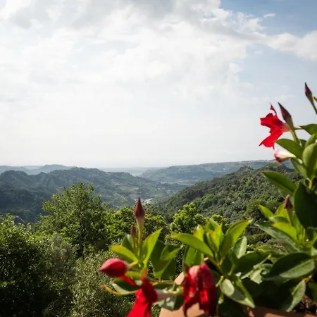 Degli Ulivi Han/Misafirhane *