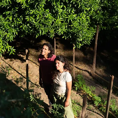 Degli Ulivi Mammola