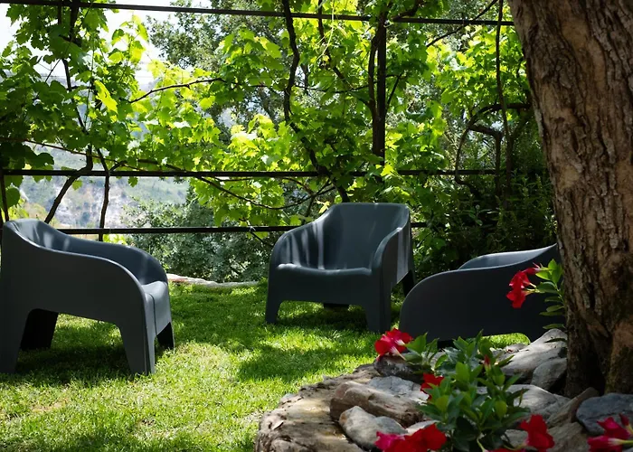 Degli Ulivi * Mammola